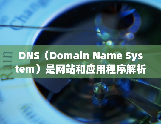 DNS（Domain Name System）是网站和应用程序解析域名时使用的系统。科学上网可能是指在科学领域或特定用途下使用DNS进行域名解析和相关服务
