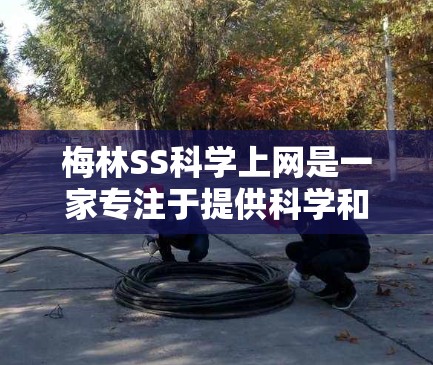 梅林SS科学上网是一家专注于提供科学和安全网络解决方案的公司。以下是对该服务的详细介绍