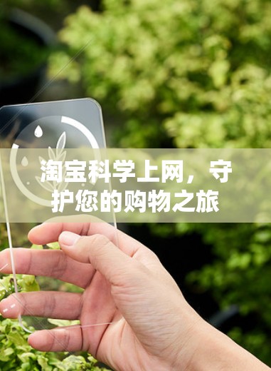 淘宝科学上网，守护您的购物之旅