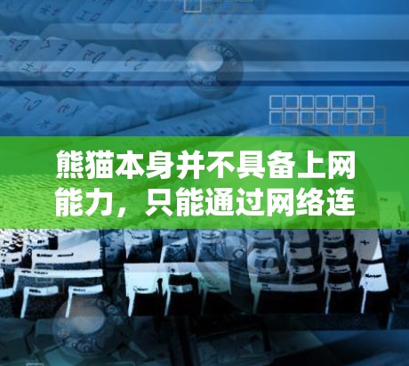 熊猫本身并不具备上网能力，只能通过网络连接来获取信息和资源。如果您的熊猫被感染了恶意软件或网络连接不稳定，可能会导致它无法正常工作或访问网络资源。以下是一些可能的解决方法