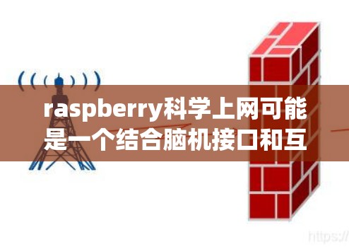 raspberry科学上网可能是一个结合脑机接口和互联网技术的项目，旨在通过科学方法实现远程上网功能。以下是可能的解释