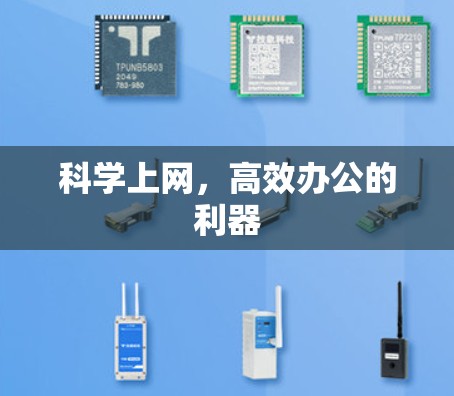 科学上网，高效办公的利器