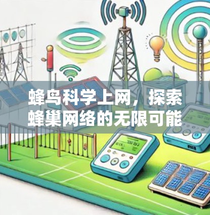 蜂鸟科学上网，探索蜂巢网络的无限可能