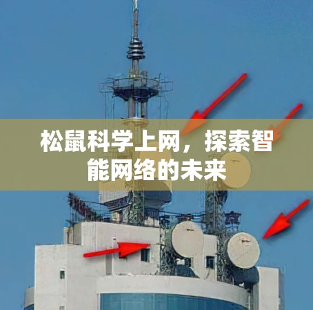 松鼠科学上网，探索智能网络的未来