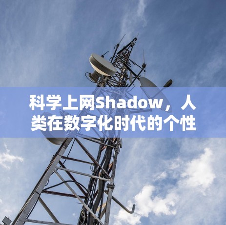 科学上网Shadow，人类在数字化时代的个性化体验