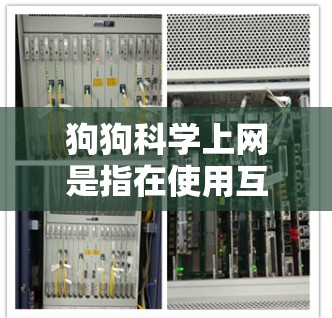 狗狗科学上网是指在使用互联网时遵循科学、安全和健康的原则和方法，确保它们的健康、保护家庭和社会安全。以下是关于狗狗科学上网的详细分析