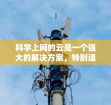 科学上网的云是一个强大的解决方案，特别适合科学研究和工程开发。以下是对该服务的详细总结