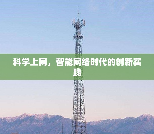 科学上网，智能网络时代的创新实践