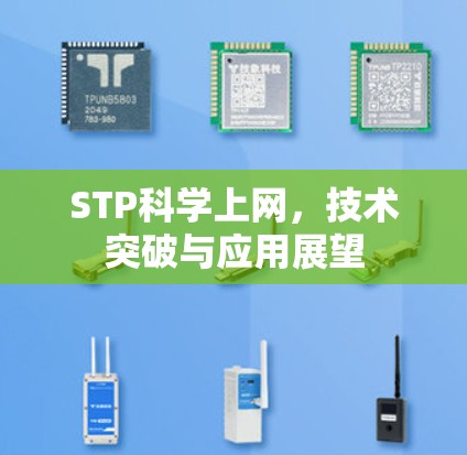 STP科学上网，技术突破与应用展望