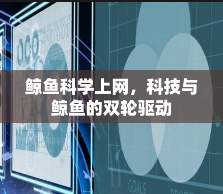鲸鱼科学上网，科技与鲸鱼的双轮驱动