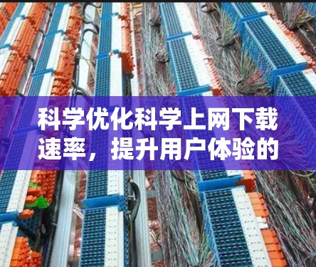 科学优化科学上网下载速率，提升用户体验的关键