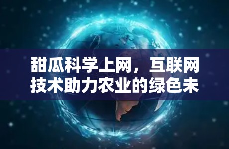 甜瓜科学上网，互联网技术助力农业的绿色未来