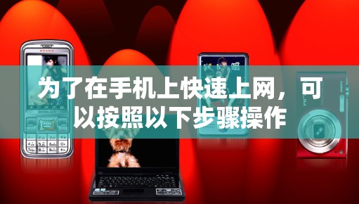 为了在手机上快速上网，可以按照以下步骤操作