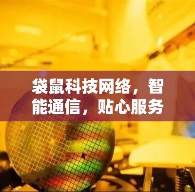 袋鼠科技网络，智能通信，贴心服务