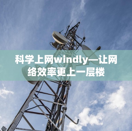 科学上网windly—让网络效率更上一层楼