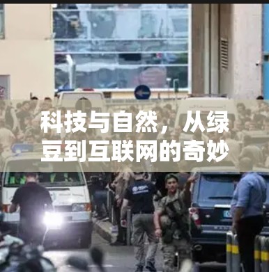 科技与自然，从绿豆到互联网的奇妙旅程