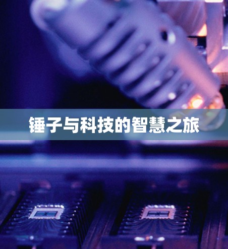 锤子与科技的智慧之旅
