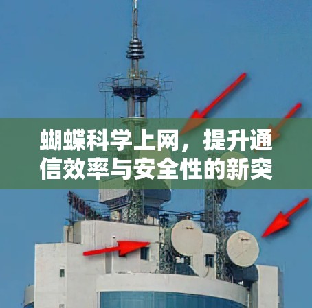 蝴蝶科学上网，提升通信效率与安全性的新突破
