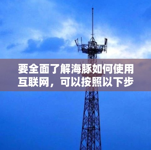 要全面了解海豚如何使用互联网，可以按照以下步骤进行