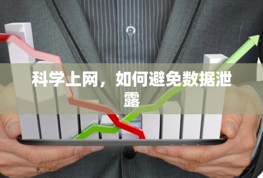 科学上网，如何避免数据泄露