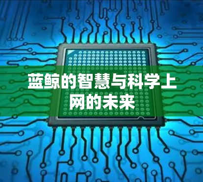 蓝鲸的智慧与科学上网的未来