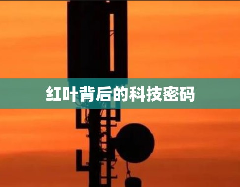 红叶背后的科技密码