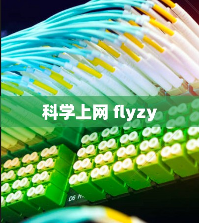 科学上网 flyzy