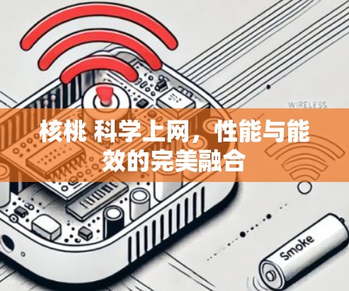 核桃 科学上网，性能与能效的完美融合