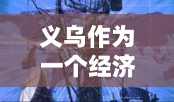 义乌作为一个经济发达的城市，拥有丰富的教育资源和网络资源，用户可以通过以下途径获取科学上网资源