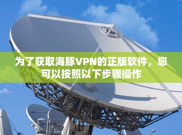 为了获取海豚VPN的正版软件，您可以按照以下步骤操作