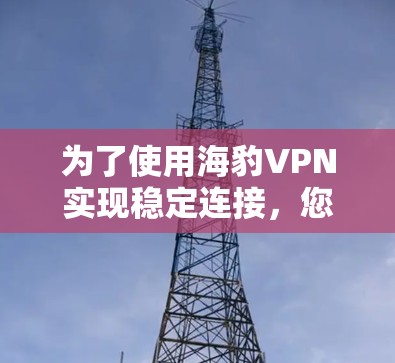 为了使用海豹VPN实现稳定连接，您可以按照以下步骤进行