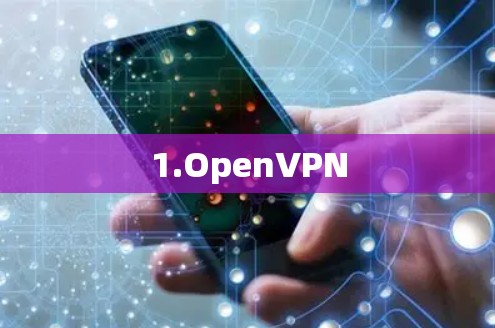 1.OpenVPN 1.OpenVPN