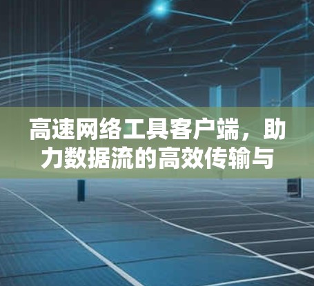 高速网络工具客户端，助力数据流的高效传输与安全防护