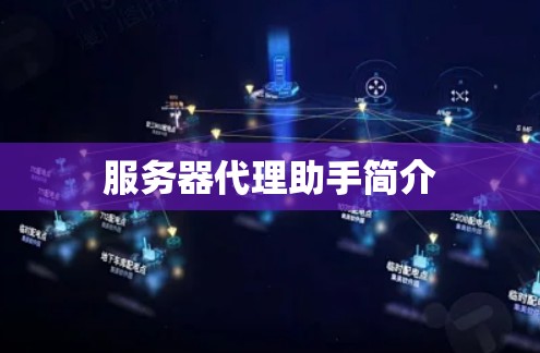 服务器代理助手简介 服务器代理助手简介