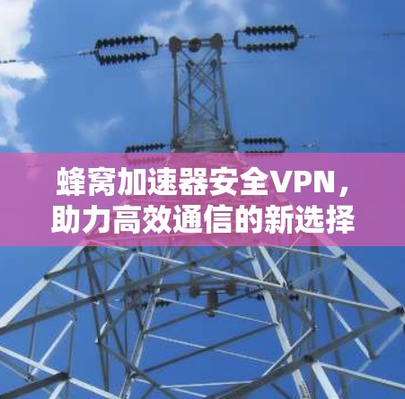 蜂窝加速器安全VPN,助力高效通信的新选择 蜂窝加速器安全VPN,助力高效通信的新选择