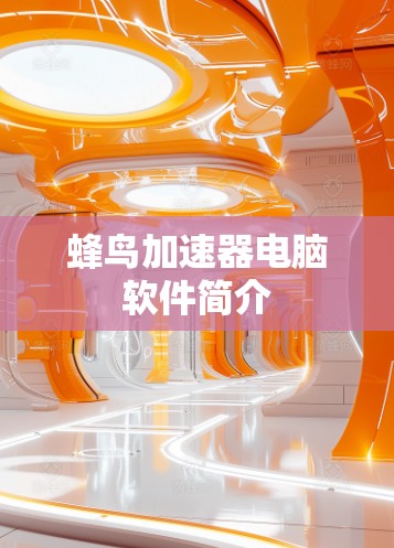 蜂鸟加速器电脑软件简介 蜂鸟加速器电脑软件简介
