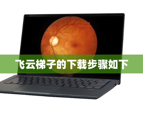飞云梯子的下载步骤如下 飞云梯子的下载步骤如下