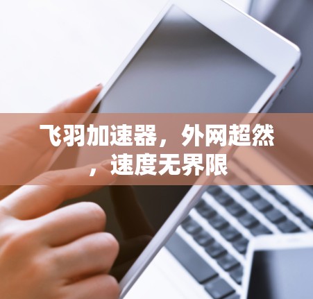 飞羽加速器,外网超然,速度无界限 飞羽加速器,外网超然,速度无界限