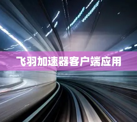 飞羽加速器客户端应用 飞羽加速器客户端应用