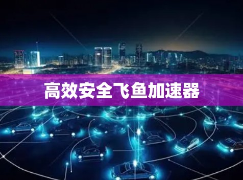 高效安全飞鱼加速器 高效安全飞鱼加速器
