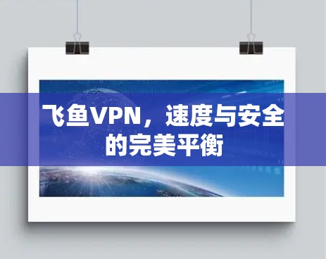 飞鱼VPN,速度与安全的完美平衡 飞鱼VPN,速度与安全的完美平衡