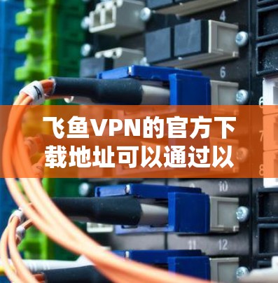 飞鱼VPN的官方下载地址可以通过以下途径获取 飞鱼VPN的官方下载地址可以通过以下途径获取