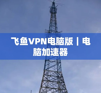 飞鱼VPN电脑版|电脑加速器 飞鱼VPN电脑版|电脑加速器