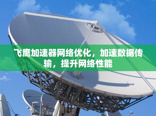 飞鹰加速器网络优化,加速数据传输,提升网络性能 飞鹰加速器网络优化,加速数据传输,提升网络性能