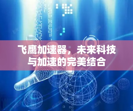 飞鹰加速器,未来科技与加速的完美结合 飞鹰加速器,未来科技与加速的完美结合
