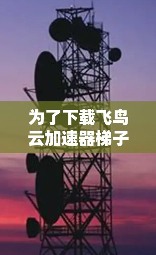 为了下载飞鸟云加速器梯子,您可以按照以下步骤进行操作 为了下载飞鸟云加速器梯子,您可以按照以下步骤进行操作