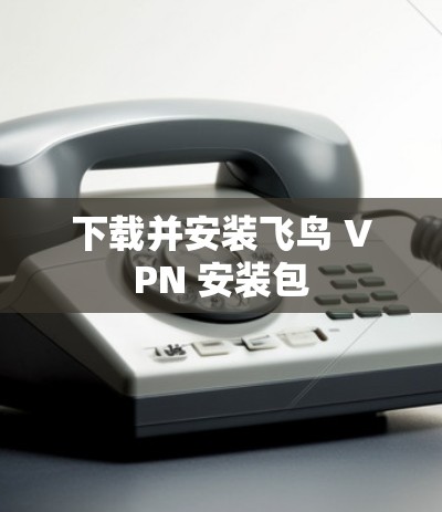 下载并安装飞鸟 VPN 安装包 下载并安装飞鸟 VPN 安装包