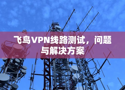 飞鸟VPN线路测试,问题与解决方案 飞鸟VPN线路测试,问题与解决方案