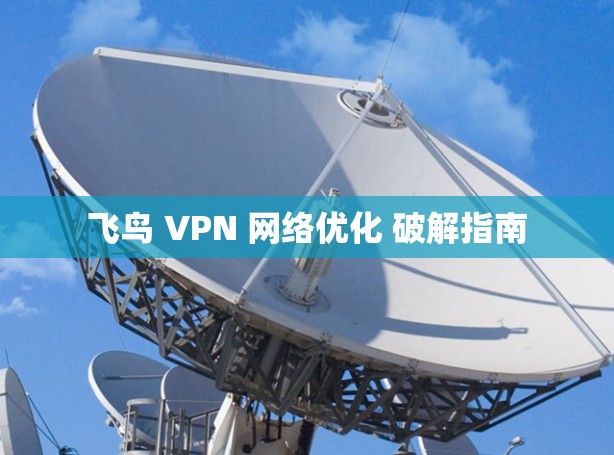 飞鸟 VPN 网络优化 破解指南 飞鸟 VPN 网络优化 破解指南