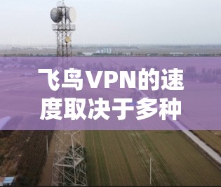 飞鸟VPN的速度取决于多种因素,包括你的设备配置、使用速率控制、以及是否优化了加密和安全设置。以下是一些关于飞鸟VPN速度体验的常见问题的解答 飞鸟VPN的速度取决于多种因素,包括你的设备配置、使用速率控制、以及是否优化了加密和安全设置。以下是一些关于飞鸟VPN速度体验的常见问题的解答